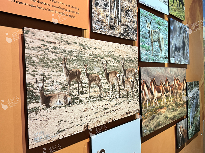 微信图片_20250904122830_89_147